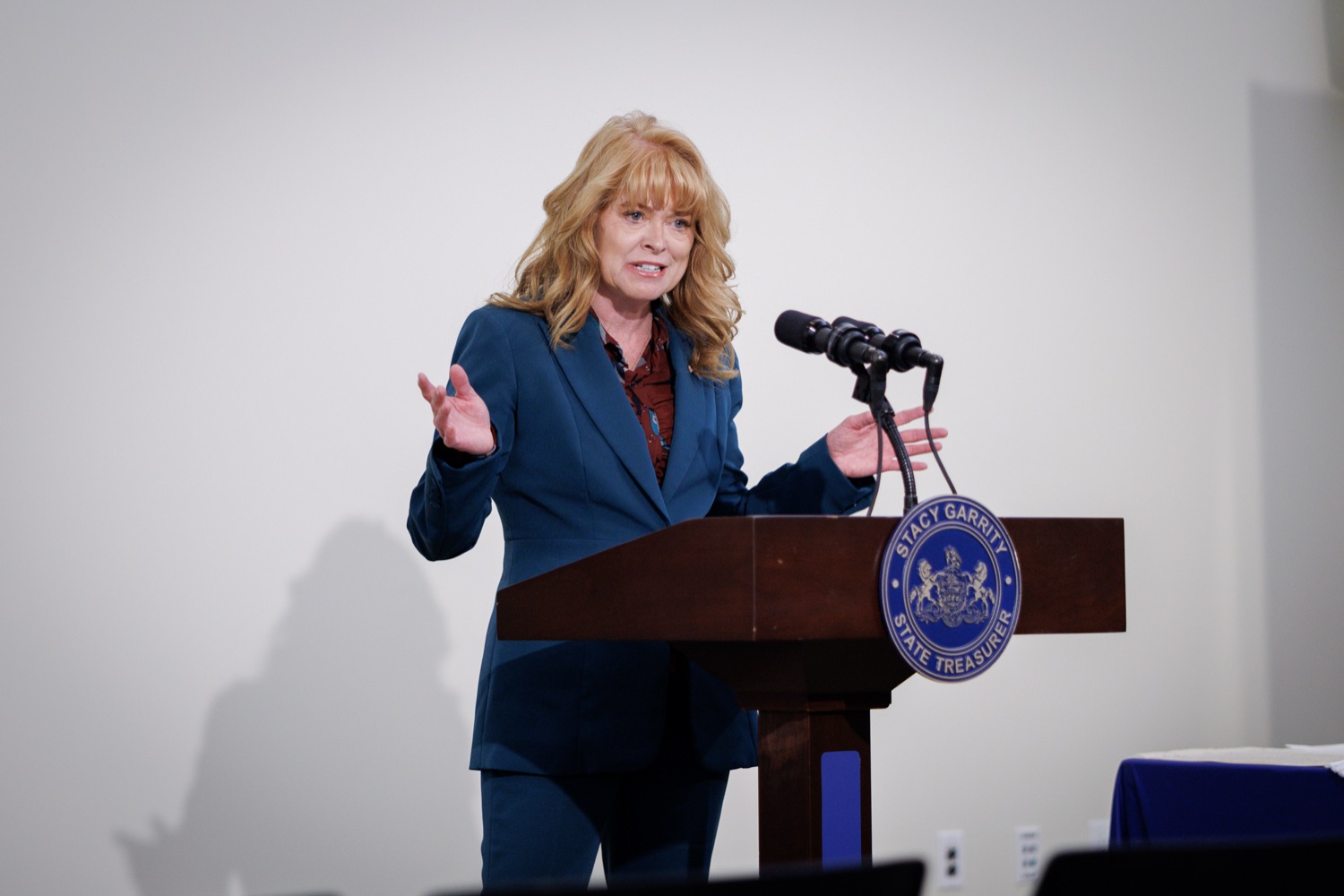 Prior to her election as state treasurer, Garrity served in the military and had a stint in the private sector.