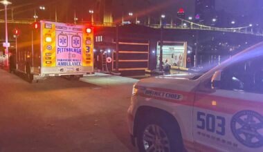 Bystander helps rescue man from Allegheny River with branch