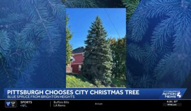 Pittsburgh reveals its official 2026 Christmas Tree