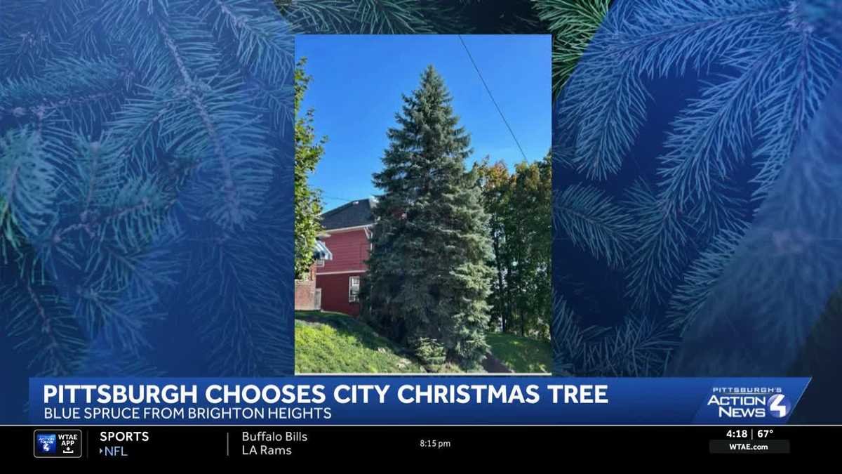 Pittsburgh reveals its official 2026 Christmas Tree