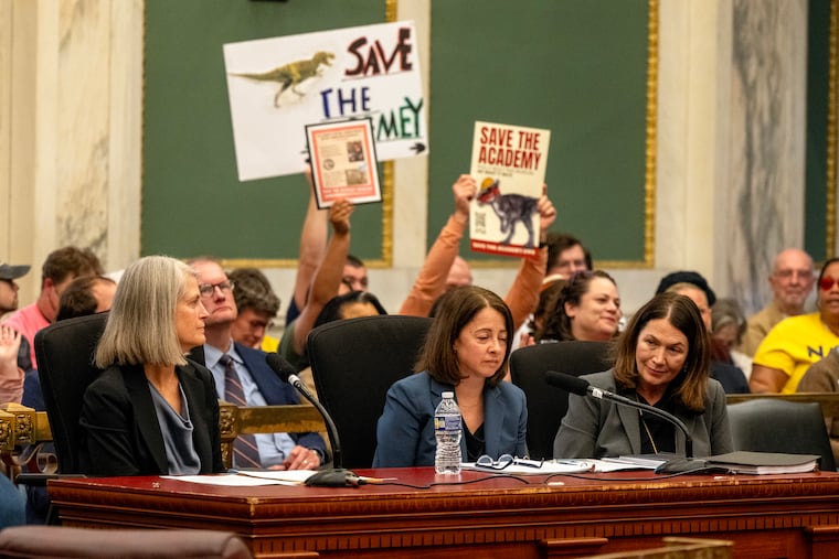 Melissa Richman (center), Drexel's executive director of operations, testifies as City Council holds a hearing on the closure of the museum at the Academy of Natural Sciences and the Academy's ongoing negotiations with Drexel. At left is Suzanne Biemiller, Academy board president.
