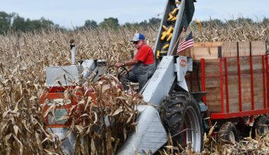 Vintage machines back in Erie field for old-fashioned fall harvest – Shaw Local