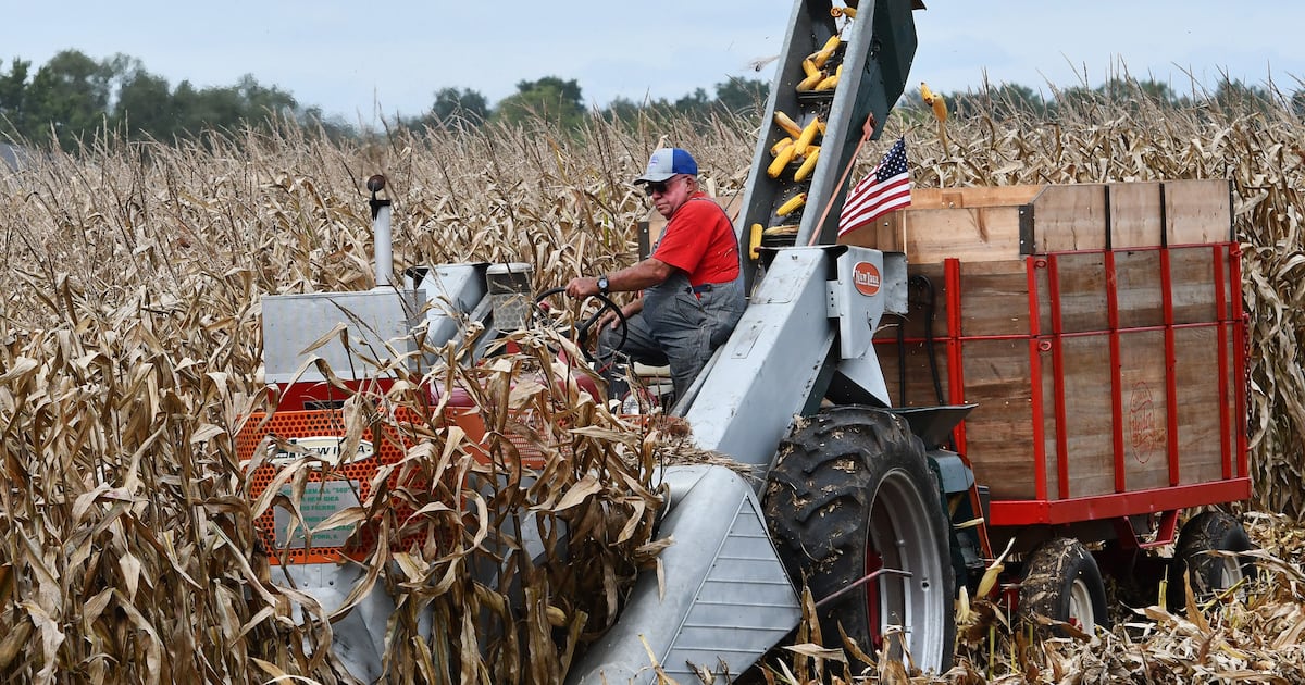 Vintage machines back in Erie field for old-fashioned fall harvest – Shaw Local