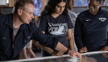 Penn State Behrend recognized for grads’ higher earnings | Local News