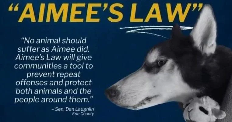 Four Laughlin Bills Advance Through Pennsylvania Senate | News