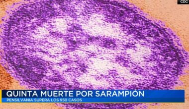 Pensilvania registra su quinta muerte por sarampión en medio de un brote de 950 casos | Noticias