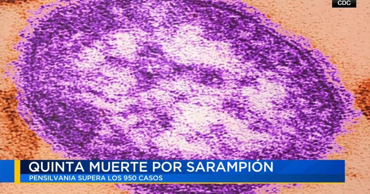 Pensilvania registra su quinta muerte por sarampión en medio de un brote de 950 casos | Noticias
