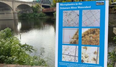 Study finds microplastics throughout Delaware River watershed, including Lehigh River | Carbon County Area