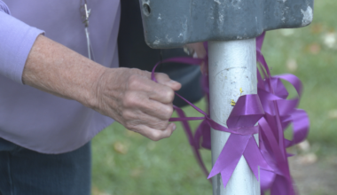 SafeNet Wraps Erie in Purple for Domestic Violence Awareness Month | News