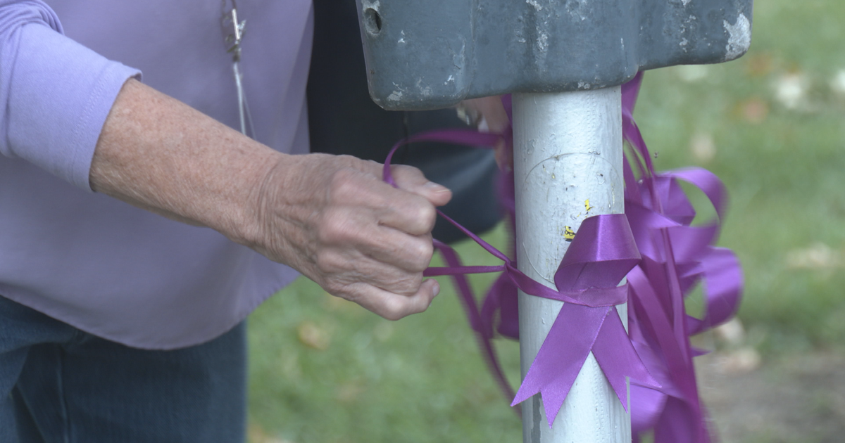 SafeNet Wraps Erie in Purple for Domestic Violence Awareness Month | News