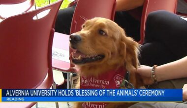 Alvernia University holds blessing of the animals for dogs, cats, furry friends | Reading Area