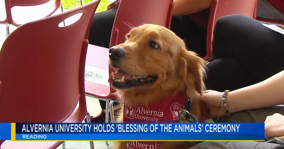 Alvernia University holds blessing of the animals for dogs, cats, furry friends | Reading Area