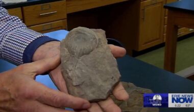 The Last Word: A Look at Prehistoric Erie | Latest Video