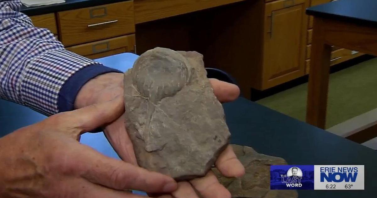 The Last Word: A Look at Prehistoric Erie | Latest Video