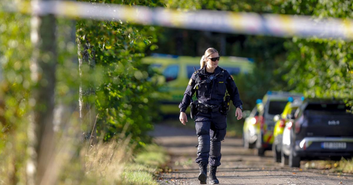 2 people killed in Norway after shooter opens fire on hunting party | Ap-world