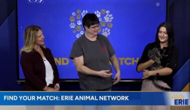 Find Your Match: Erie Animal Network and Holly | Hello Erie