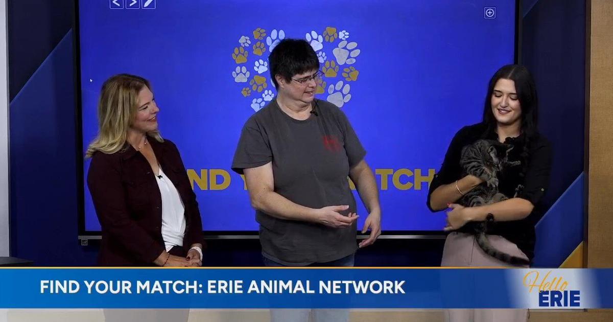 Find Your Match: Erie Animal Network and Holly | Hello Erie