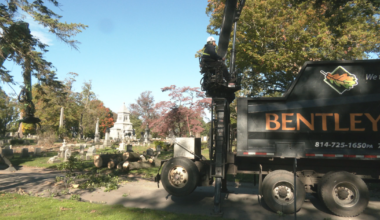 Cleanup Efforts Continue at Erie Cemetery | News
