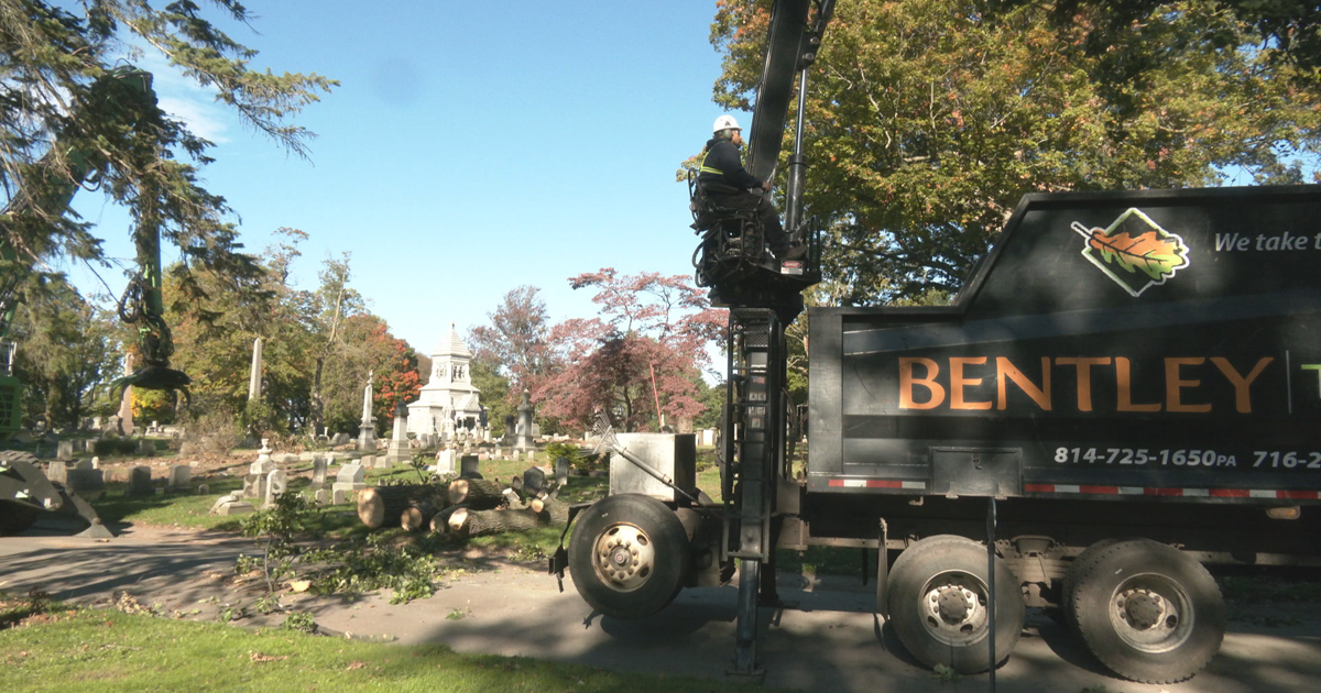 Cleanup Efforts Continue at Erie Cemetery | News