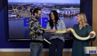 Zookeeper's Secrets: Roger Watson of RBSJ Reptile Realm | Hello Erie