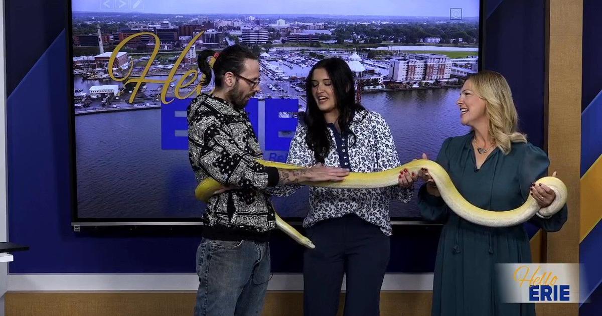 Zookeeper's Secrets: Roger Watson of RBSJ Reptile Realm | Hello Erie