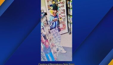 Pa. State Police Seek Theft Suspect in Summit Township | News