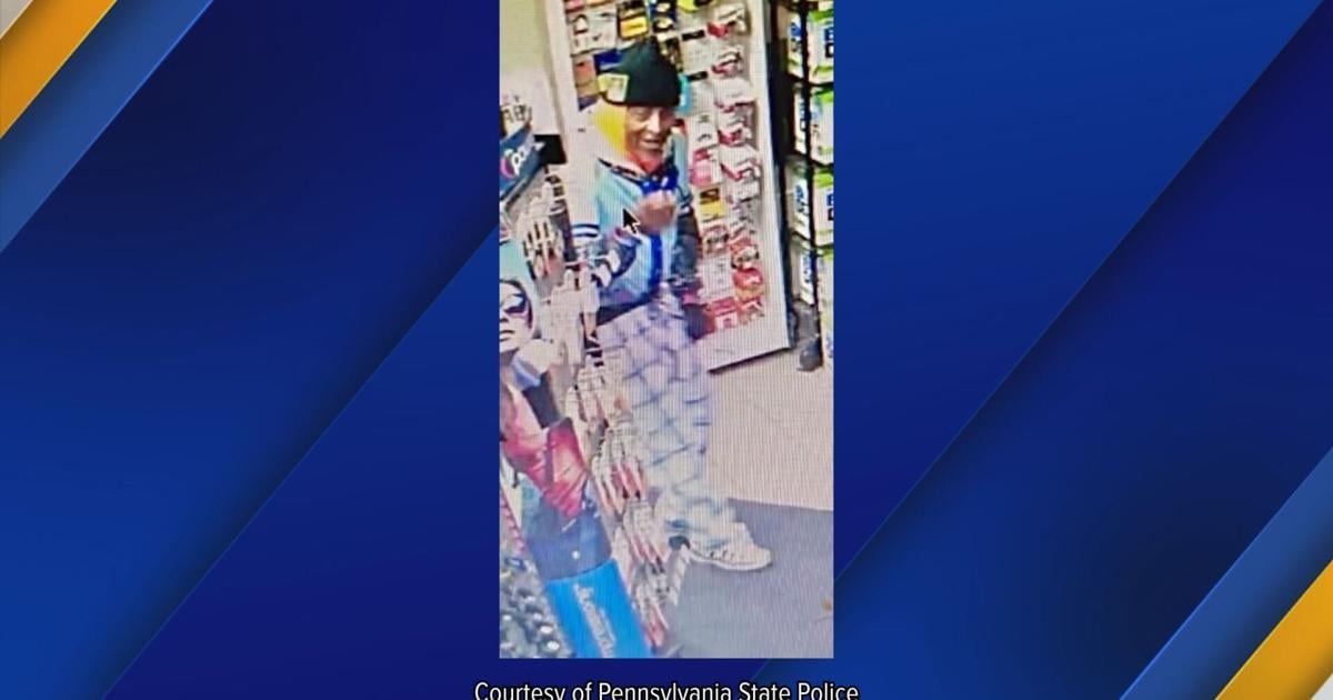 Pa. State Police Seek Theft Suspect in Summit Township | News