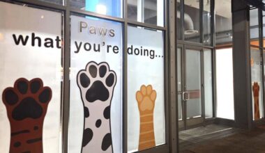 Promenade Saucon Valley to welcome new tenant, Every DOG!, during annual Barktoberfest event | Eat, Sip, Shop