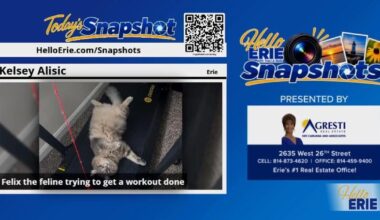 Hello Erie Snapshot October 13 | Hello Erie