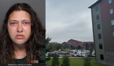 Authorities seize items, including multiple knives, from home of woman accused of killing husband, son, authorities say | Monroe County Area