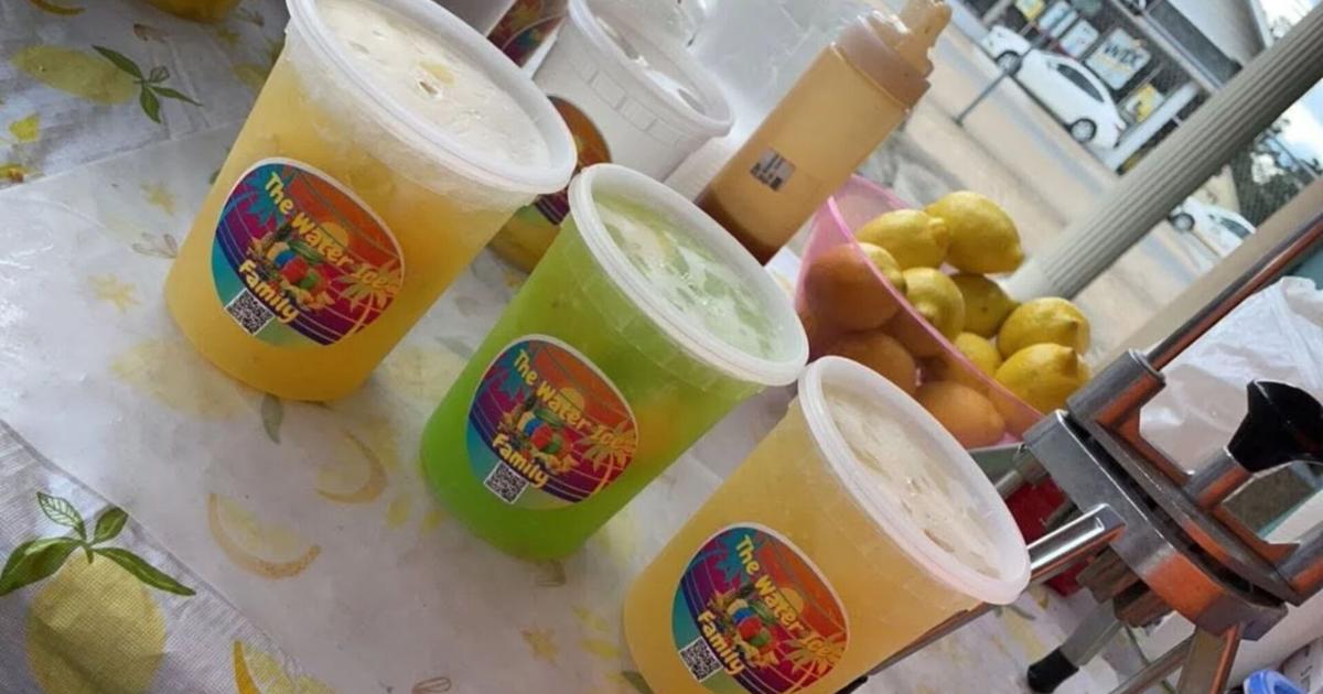 Water Ice Family Celebrates Grand Opening at Millcreek Mall | News