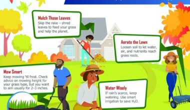 Family Yard Fall To-Dos | Community Cares