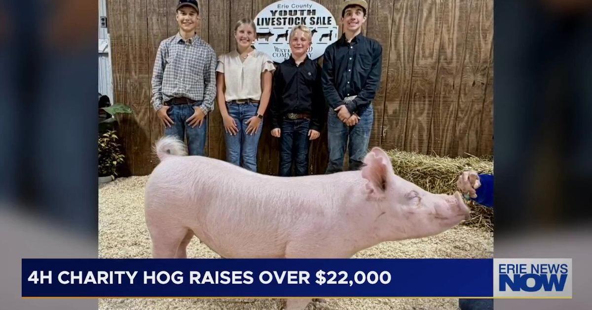 4H Hog Raises Over $22,000 for Parkinson Partners of Northwest Pa. | News
