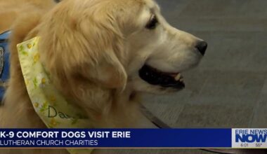 K-9 Comfort Dogs Visit Erie | Latest Video