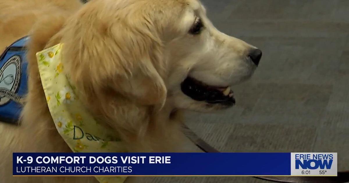 K-9 Comfort Dogs Visit Erie | Latest Video