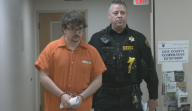 Guilty Plea Entered in Case of Aimee the Husky's Death | Local News