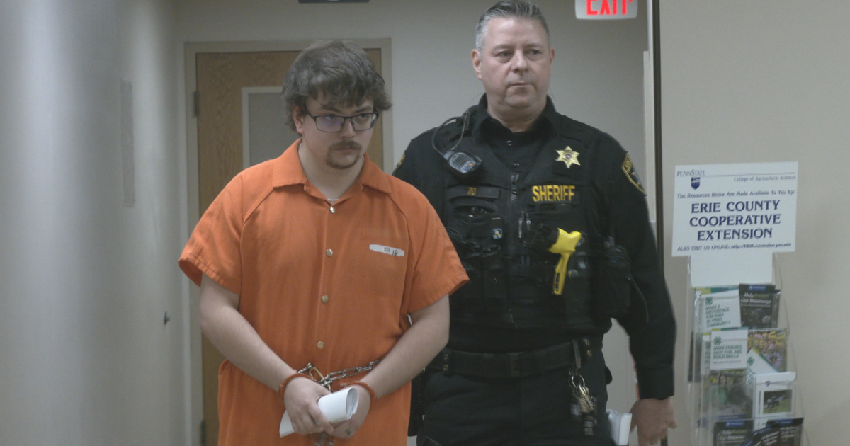 Guilty Plea Entered in Case of Aimee the Husky's Death | Local News