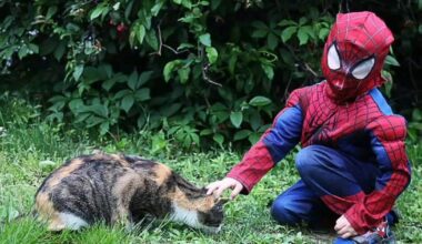 Bethlehem teen vying for a chance to be featured in Marvel comic | Bethlehem Area