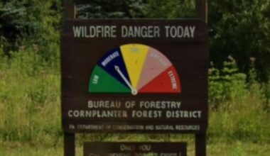 Dry Conditions Elevate Fire Risk Throughout Erie County | News