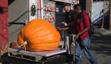 Halloween celebrations fill a busy fall weekend across Berks County | Berks Regional News