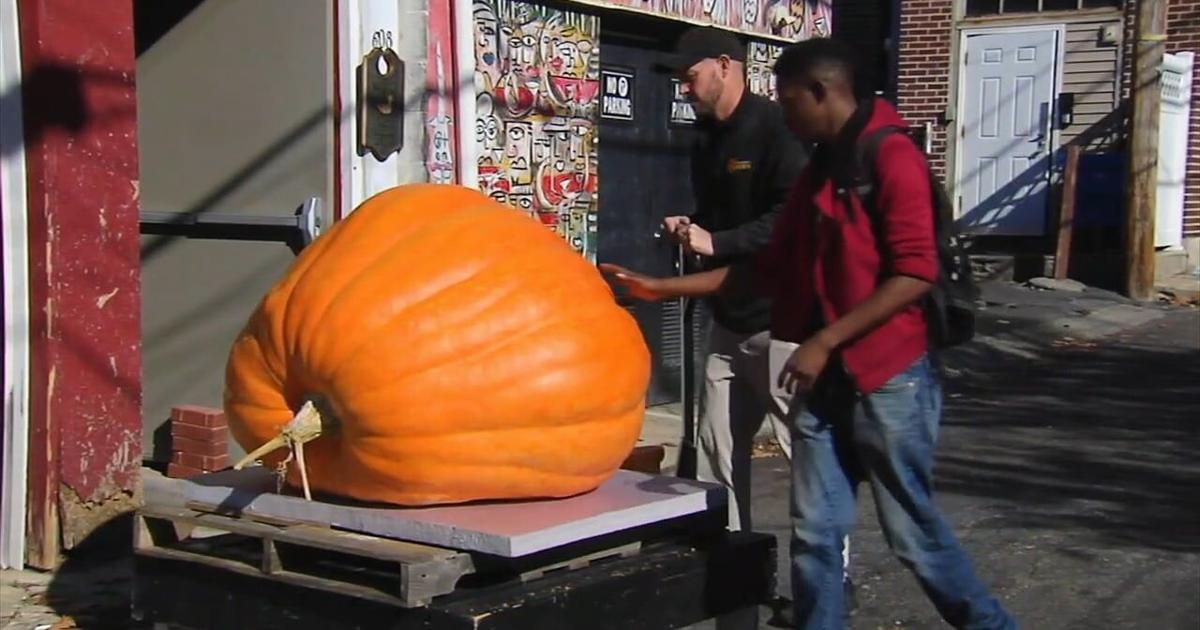 Halloween celebrations fill a busy fall weekend across Berks County | Berks Regional News