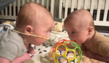69 News Reporter Michelle Wolf shares update on twin boys' NICU journey | Allentown Area