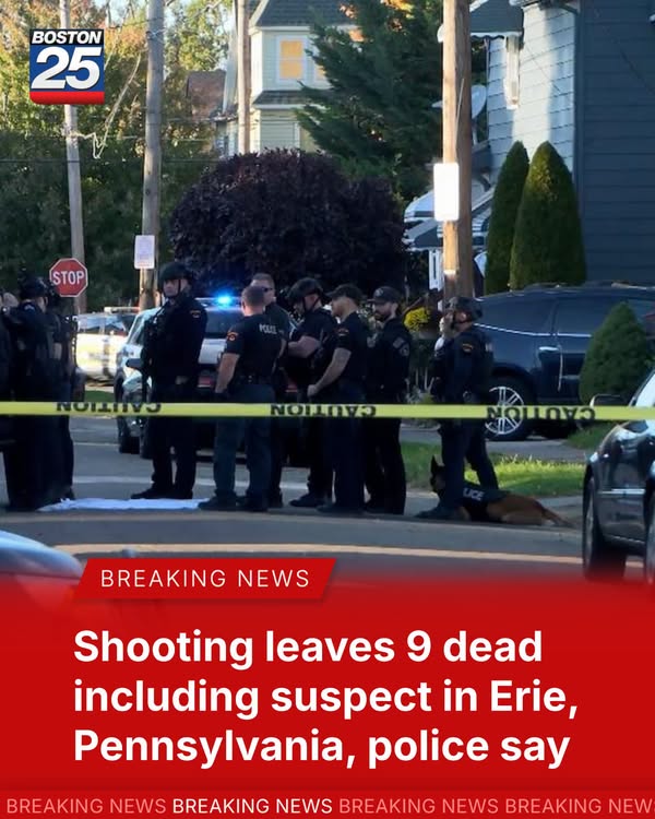 According to police, a shooting in a residential area of Erie, Pennsylvania, left nine dead, including two children, a pregnant woman, and the suspected shooter. For more details, visit the lin in our bio. - Facebook