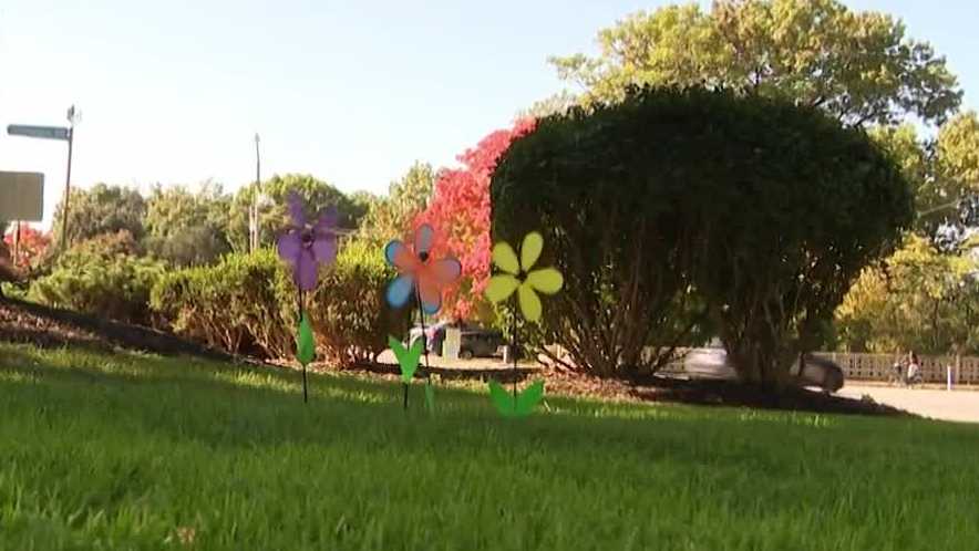 Pittsburgh Alzheimer's walk aims to raise $1 million