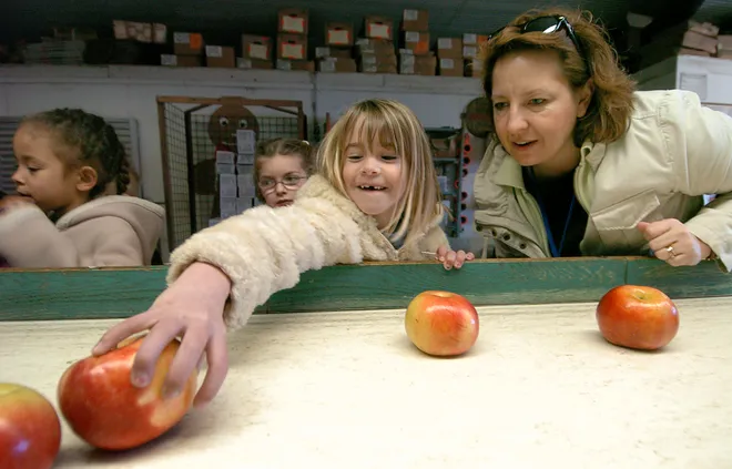 Harding Elementary School kindergartner Angelina Stone, 5, chooses her apple with help from teacher Kim Bliley during a tour of the North East Township fruit farm April 16, 2008.