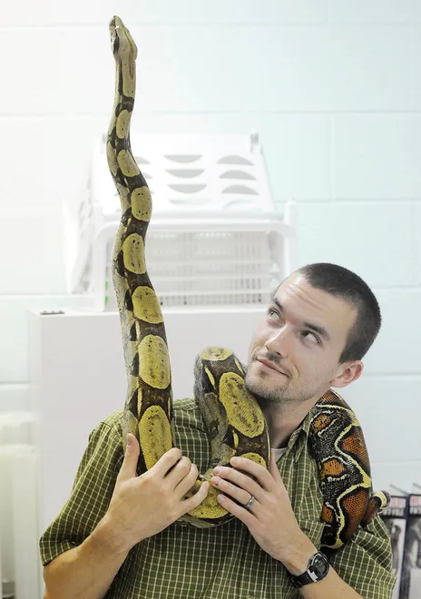 Our Lady's Christian School science teacher Jeff Hankey holds Pyro, a seven-year-old Peruvian red-tailed boa, at the school on Oct. 25, 2010. Hankey, who teaches seventh- and eighth-grade life science and physical science, had a collection of 20 snakes and teaches students and people in the community about reptiles. He said Pyro is very curious about things on the ceiling such as lights and fans.