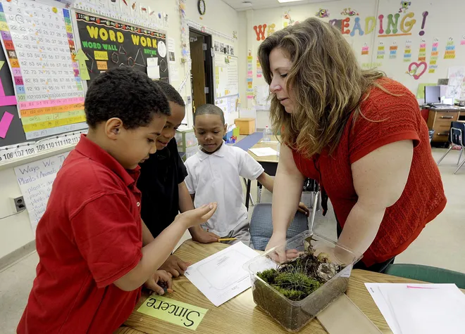 Students, from left, Devin Ollie, 7; Semontae Lofton, 7; and Sincere Dorsey, 6; and first-grade teacher Jane Deutschlander look at a millipede that lives in the terrarium, shown in the foreground. The students, photographed May 12, 2011, at Wayne School in Erie, were using supplies provided by a five-year, $15 million Developing Futures education grant from the GE Foundation. The math and science components of the grant, such as this one, emphasize hands-on, inquiry-based learning. The grant program entered its fifth and final year in the 2011-12 school year.
