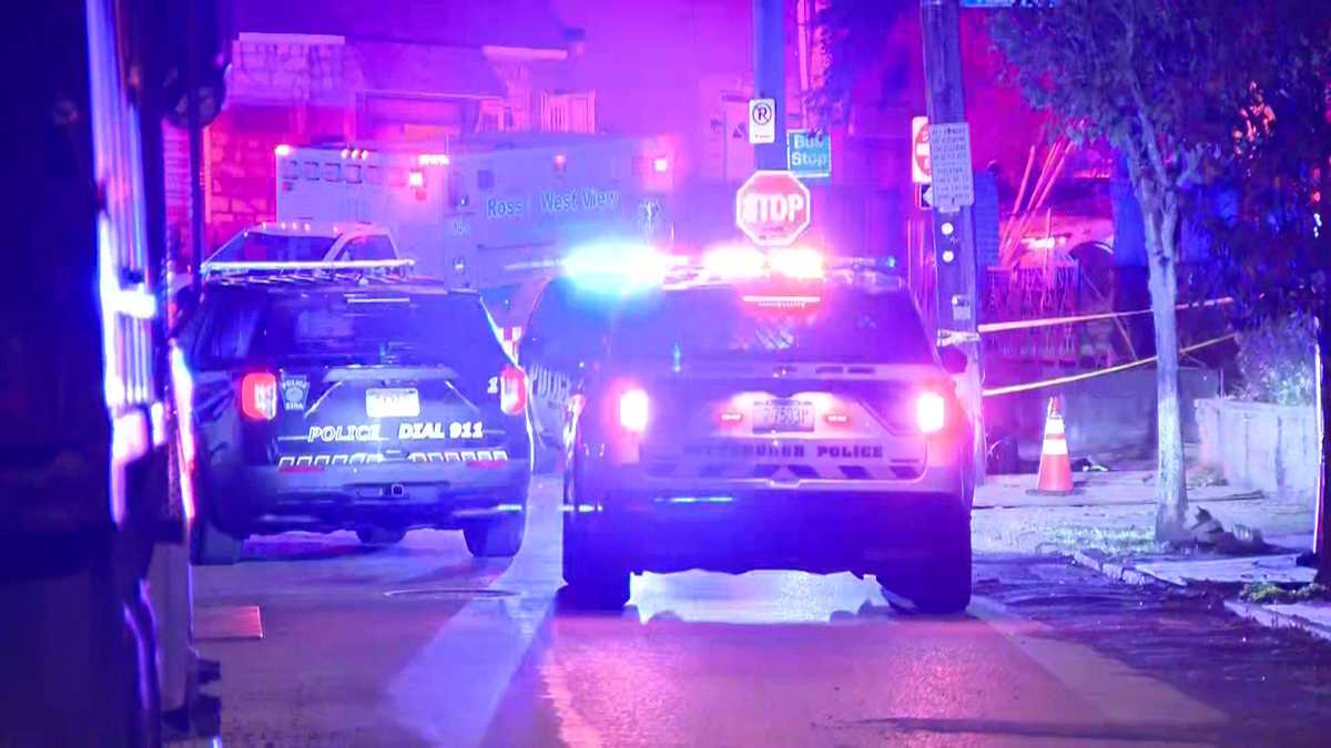 Allegheny County Police investigate stabbing in Reserve Township