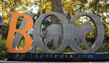 This Halloween season, check out tigers, bombs and mini golf – The Mercury