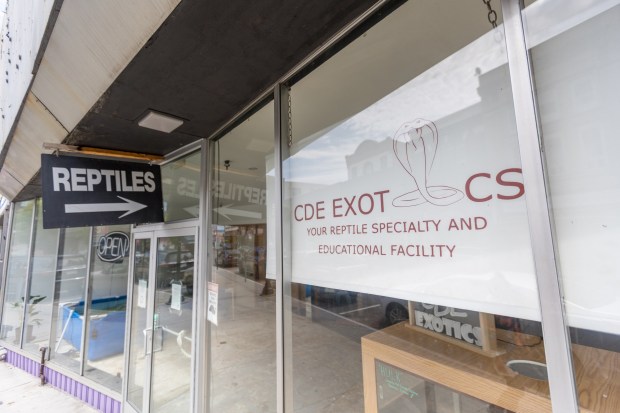 CDE Exotics, located at 95 S. Main St., Wilkes-Barre, and on Friday, April 24, 2026, was ordered to be closed down following a joint investigation. (JASON ARDAN / STAFF PHOTOGRAPHER)